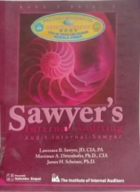 SAWYER'S INTERNAL AUDITING AUDIT INTERNAL SAWYER BUKU 2