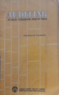 AUDITING PETUNJUK, PEMERIKSAAN AKUNTAN PUBLIK